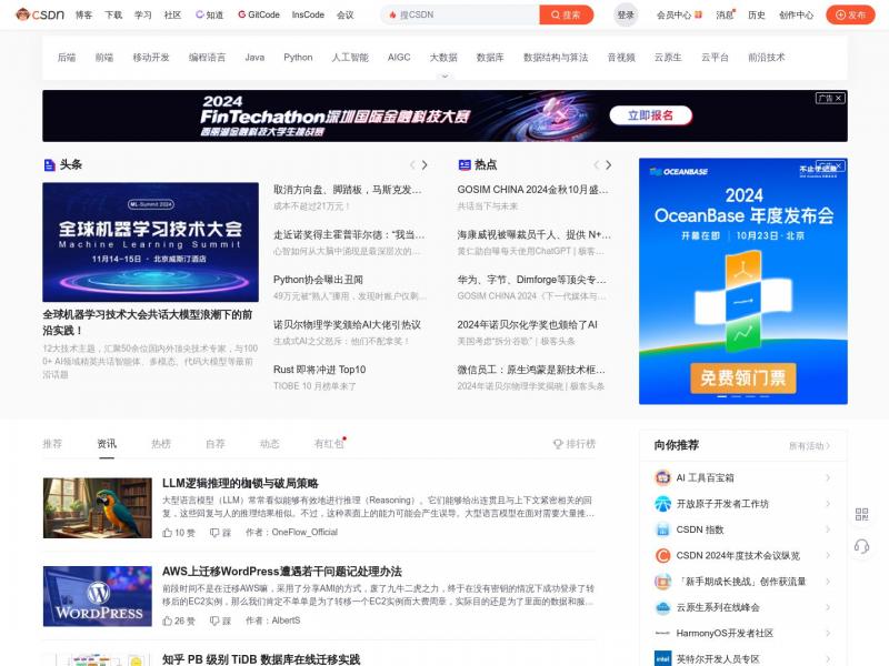 【CSDN】CSDN - 专业开发者社区<b>※</b>2024年10月12日网站截图